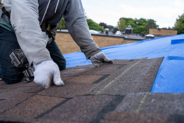 Best Local Roofing Companies  in Wahpeton, ND